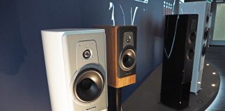 dong loa dynaudio contour mat truoc