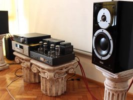 dong loa dynaudio new contour mat phai