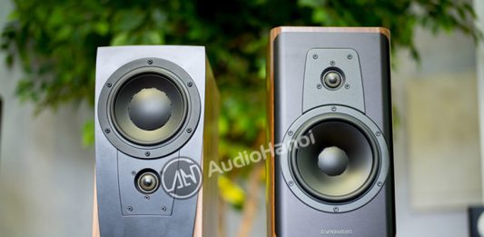 Loa Dynaudio Contour 20 anh dai dien