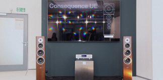 Loa dynaudio focus 600 XD anh dai dien