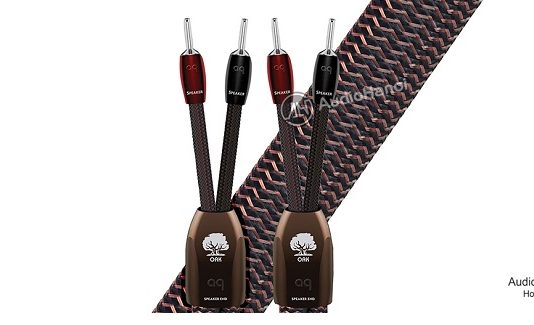 Day loa AudioQuest Oak Tree chuan