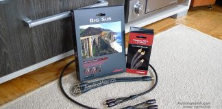 Day tin hieu AudioQuest Big Sur chuan