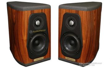 loa AudioSolutions Guimbarde chuan