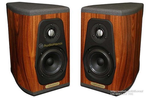 loa AudioSolutions Guimbarde chuan