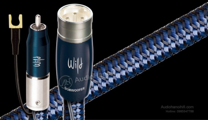 day tin hieu AudioQuest Wild Dog chuan