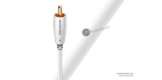 Day tin hieu AudioQuest Greyhound chuan