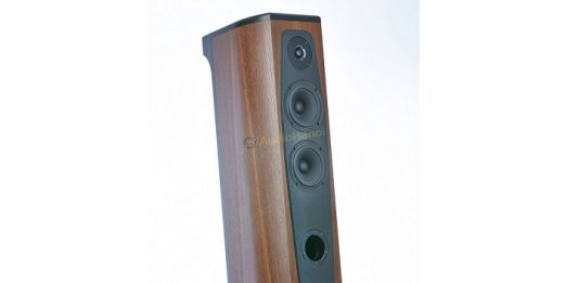 Chất âm quyễn rũ của loa AudioSolutions Rhapsody 130 Loa AudioSolutions Rhapsody 130 chuan