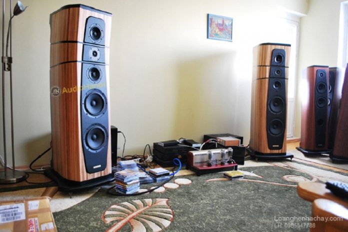 Loa AudioSolutions Rhapsody 200 chuan