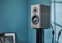 Loa Dynaudio Special Forty chuan