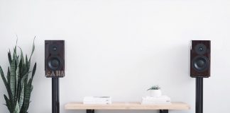 Loa Dynaudio Focus 20 XD chuan