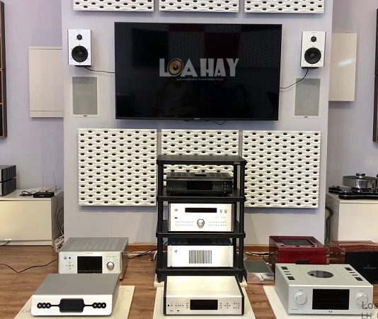 Loa Dynaudio Xeo 20 chuan