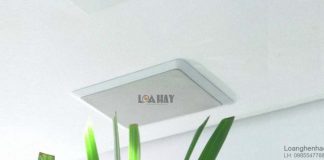 Dong loa JBL SP white chuan