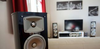 Loa Yamaha NS-333 chuan