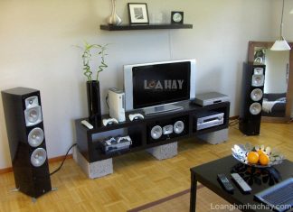 Loa Yamaha NS-555 chuan