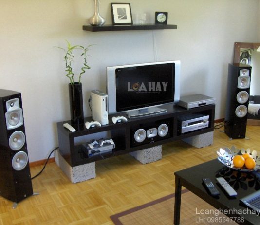 Loa Yamaha NS-555 chuan
