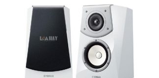 Loa Yamaha NS-B901 chuan