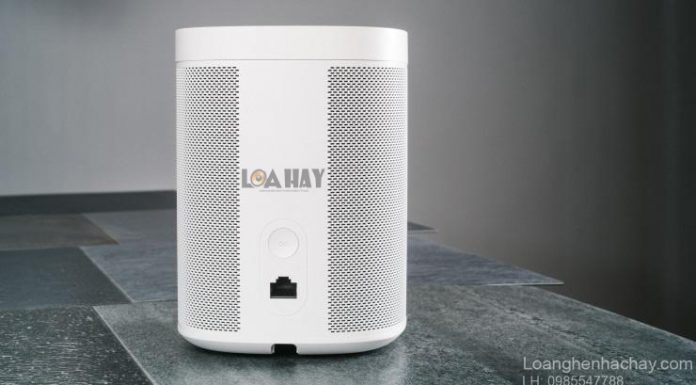 Top 9 loa di dong dang mua chuan