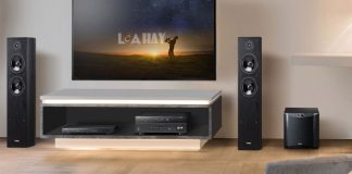 Loa Yamaha NS-F51 chuan