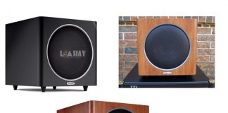 Loa Polk PSW 110 chuan