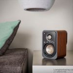 loa-polk-s10-3 copy