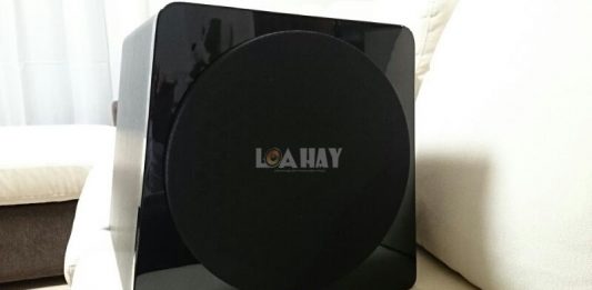 Loa sub Yamaha NS-SW500 chuan