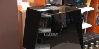 Loa sub Yamaha NS-SW700 chuan