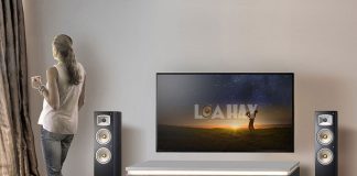 Loa Yamaha NS-F330 chuan