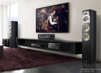 Loa Yamaha NS-F350 chuan