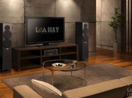 Loa Yamaha NS-F500 chuan