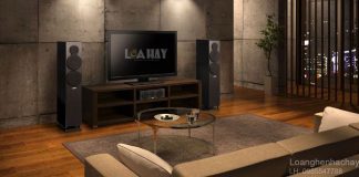Loa Yamaha NS-F500 chuan