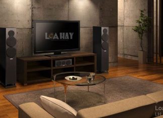 Loa Yamaha NS-F500 chuan