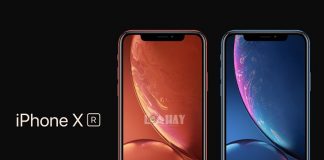 iPhone XR hay