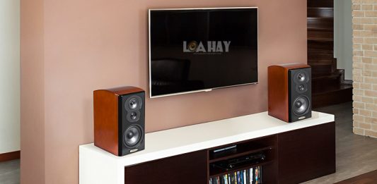 loa Polk CSiA6 chuan