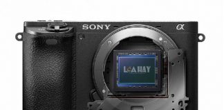 Cam bien Sony APS-C 31,5MP chuan