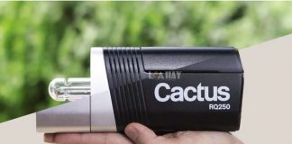 den studio Cactus RQ250 chuan