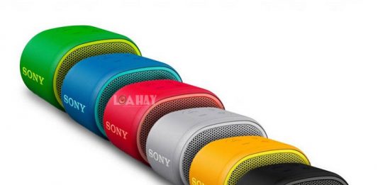 Loa Sony eXtra Bass XB01 chuan
