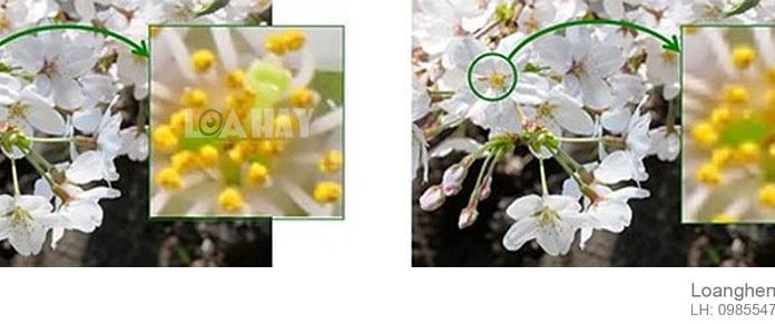 Man hinh Sony ECX339A chuan