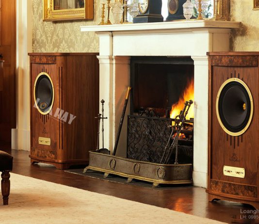 Loa Tannoy CanterBurry GR dep
