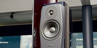 Loa Dynaudio Confidence 20