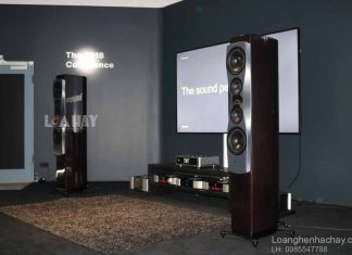 Loa Dynaudio Confidence 50