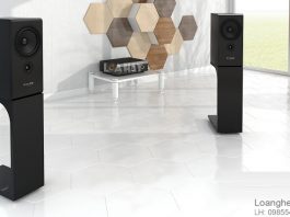 Loa BW và Pylon Audio Opal Monitor bạn nên chọn cặp loa nào? Loa Pylon Audio Opal Monitor chuan