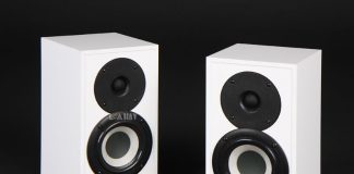 Loa Pylon Audio Pearl Sat chuan