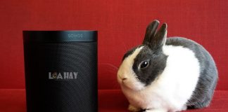 Loa thong minh Sonos