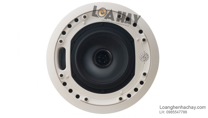 Loa Tannoy CMS 603DC chat luong