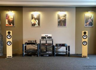 Loa Pylon Audio Ruby 25 MKII chuan