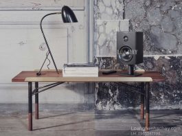 Loa Dynaudio XEO 10 chuan