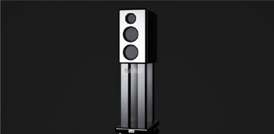 Loa Viva Audio Agile chuan