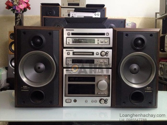 Dan-am-thanh-Pioneer-F21-loanghenhachay Dan am thanh Pioneer F21 loanghenhachay
