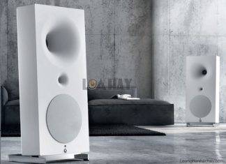 Loa Avantgarde Zero 1 XD – Thành công của những nghiên cứu công nghệ tiên tiến Loa Avantgarde Zero 1 XD hay loanghenhachay