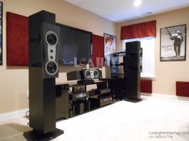 Loa Dynaudio Confidence Center Platinum loanghenhachay